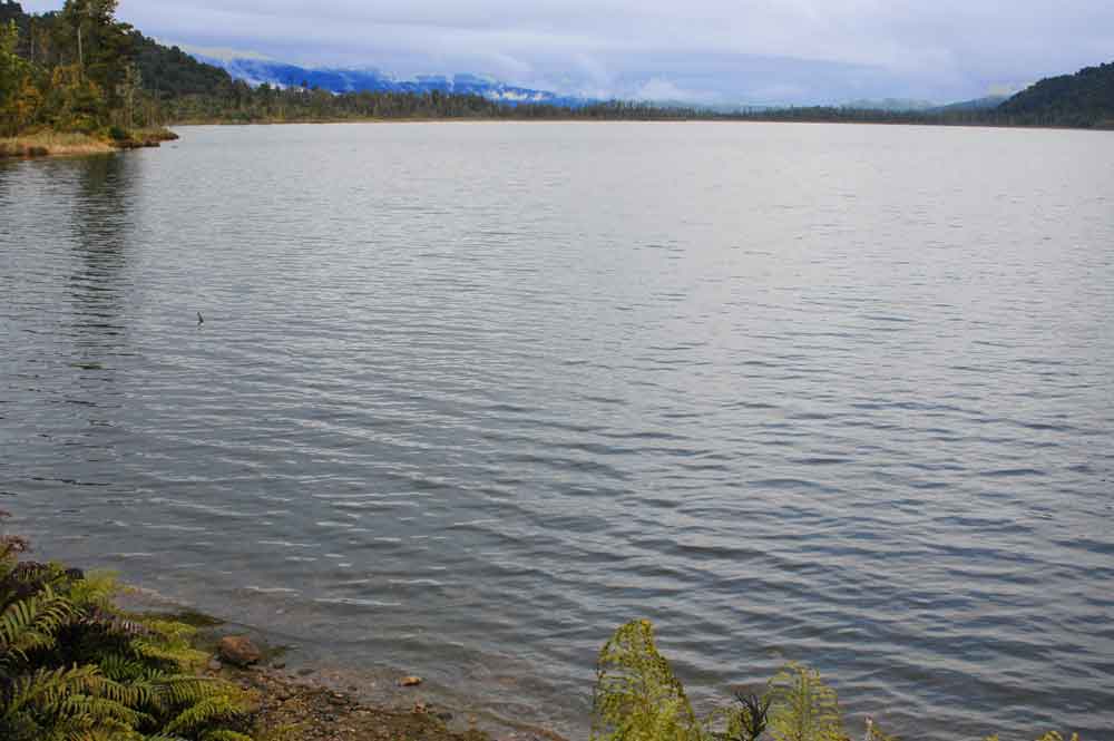 169 - Nueva Zelanda, lago Ianthe